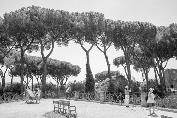 Roman trees